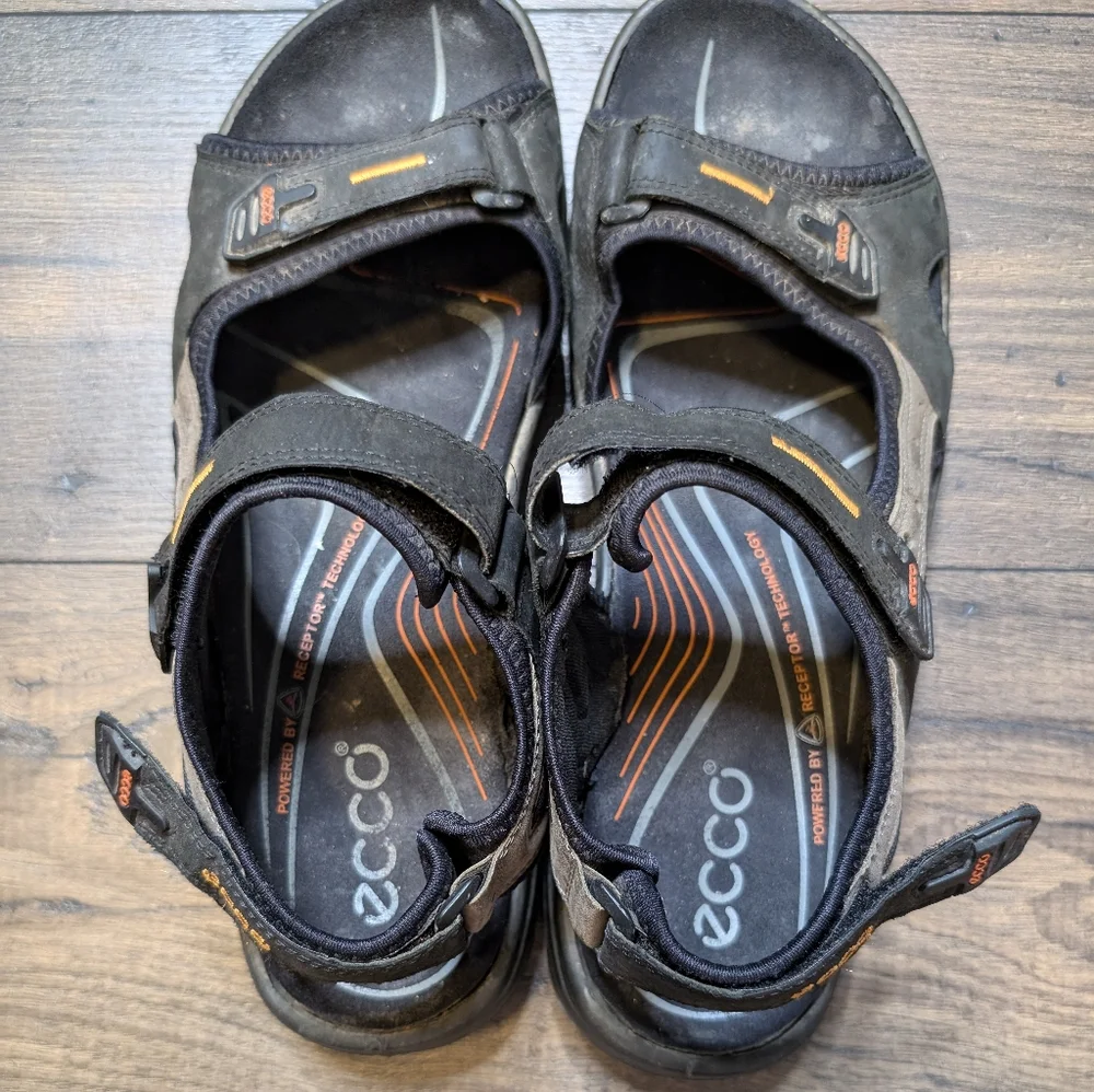 ECCO Hiking‎ Sandals Size US 13